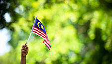 Malaysian Palm Oil Bosses Urge Action Against Environmental Groups