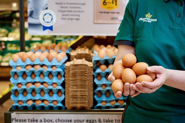 Morrisons Phases Out Eggs From Caged Hens