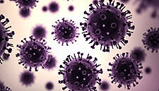 BAT Says Potential COVID-19 Vaccine Using Tobacco Leaves Ready For Human Trials