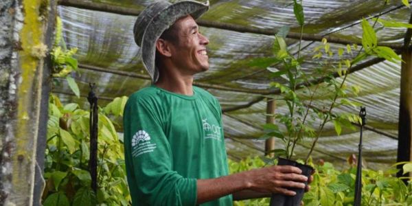 Nestlé's Mucilon To Support Reforestation In Brazil