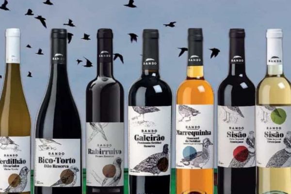 Auchan Retail Portugal Launches Private Label Wine Brand