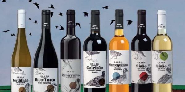 Auchan Retail Portugal Launches Private Label Wine Brand