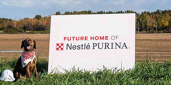 Purina To Invest $550m In Pet Food Factory In Ohio