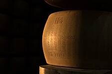 Parmesan Sales Up 15%, Grana Padano Sees 8% Growth