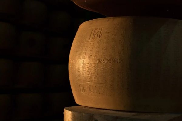 Parmesan Sales Up 15%, Grana Padano Sees 8% Growth