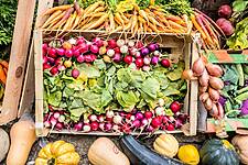 Organic Sales Soar In Italy, As Shoppers Seek Healthier Options
