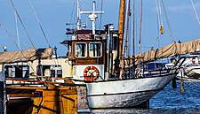UK Must Move On Fish, Fair Competition To Enable Trade Deal: EU Diplomat