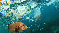 Waitrose & Partners' Plastic Pollution Projects Prove Successful