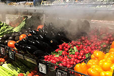 Contronics Dry Misting Proves Quality With ISO 9001 Certificate