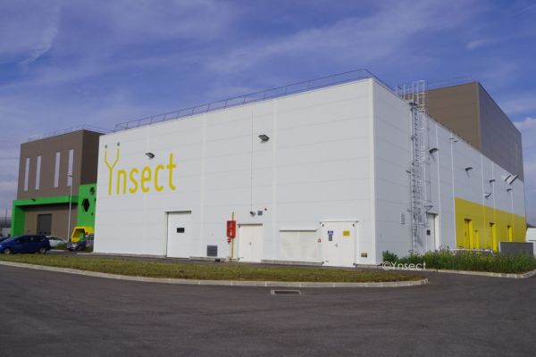 France's Ynsect Targets Food Market With Protifarm Buy