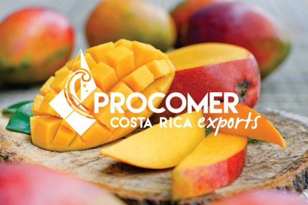 PROCOMER – From Costa Rica To Your Business