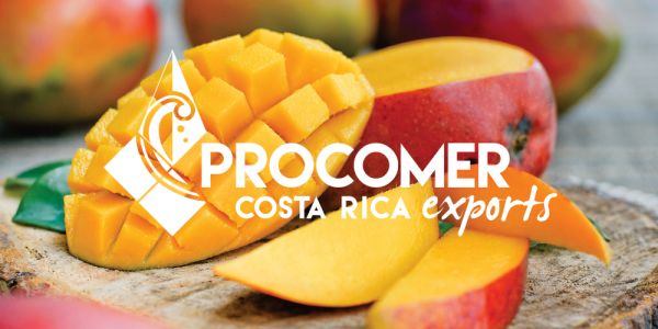 PROCOMER – From Costa Rica To Your Business