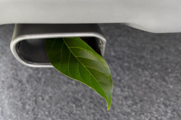 Buyer's Brief: Biofuels – Are They Really Sustainable?
