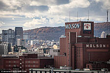 Molson Coors Sees Highest Quarterly Top-Line Growth In More Than A Decade