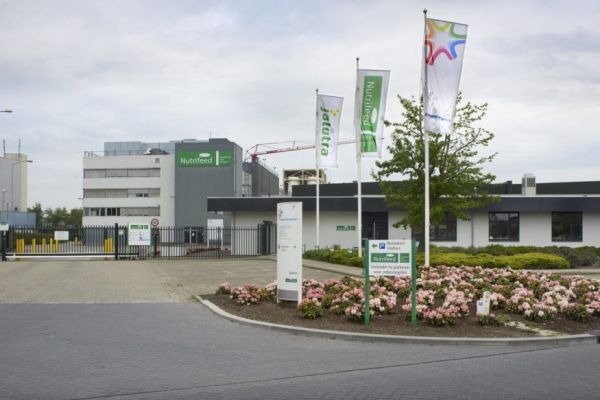FrieslandCampina To Offload Nutrifeed Animal Nutrition Business