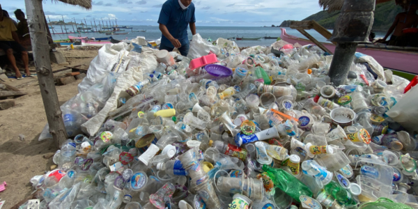 Single-Use Plastic Waste Rises From 2019 To 2021, Despite Pledges