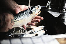 UK's EFRA Calls For 'Common Sense' On EU-Britain Seafood And Meat Trade
