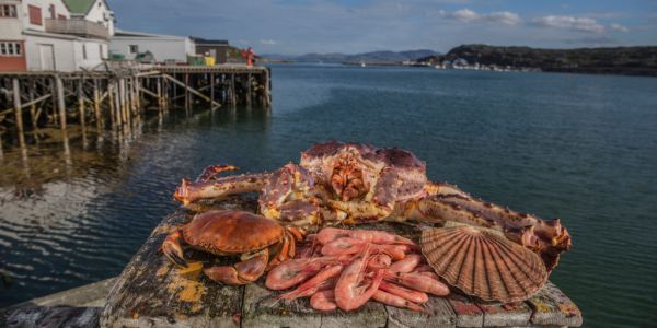 Shellfish Exports Reach 'Record High' In Norway