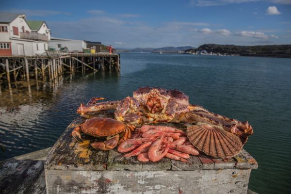 Shellfish Exports Reach 'Record High' In Norway