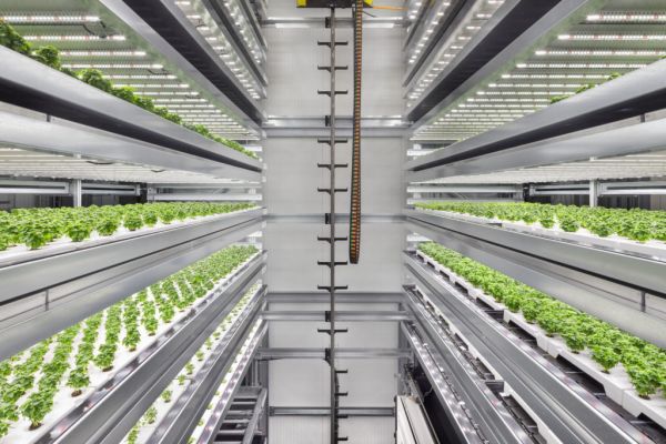 Infarm Sets Up Third Growing Centre In The US