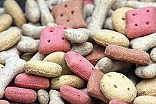Global Dog Food & Snacks Market To Surge In Coming Years, Driven By Pandemic