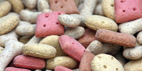 Global Dog Food & Snacks Market To Surge In Coming Years, Driven By Pandemic