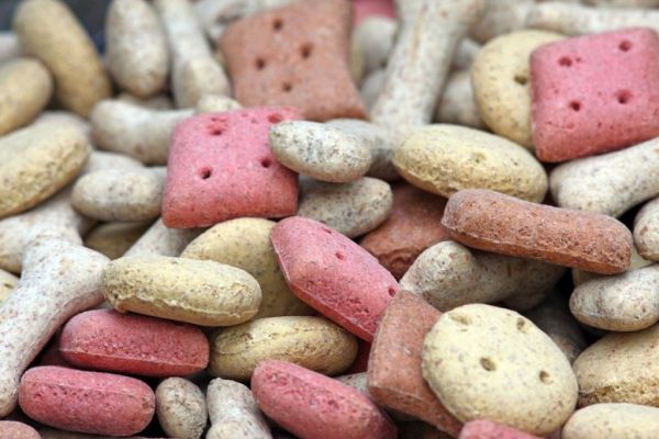 Global Dog Food & Snacks Market To Surge In Coming Years, Driven By Pandemic