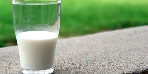 Milk Alternatives Market Soaring, Spurring Further Innovation: Euromonitor