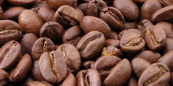Uganda Coffee Exports Plunge 20% In February