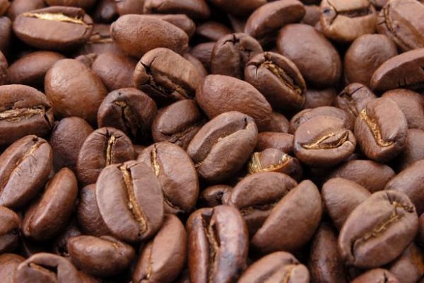 Uganda Coffee Exports Plunge 20% In February