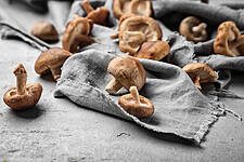 Belgium's Colruyt Uses Bread Waste To Grow Mushrooms
