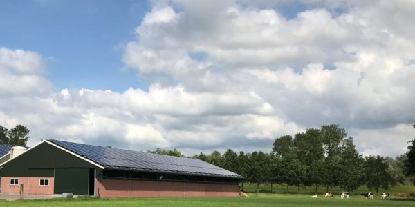 FrieslandCampina Launches Solar Panel Project For Smaller Roofs