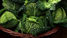 New AHDB Trials To Help Reduce Cabbage Waste