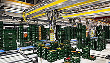 Edeka Relies On Automation Solution From Cimcorp