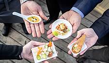 Thai Union Invests In Cell-Based Seafood Company BlueNalu