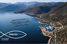 Philosofish Wins Bronze Award At The Greek Exports Forum & Awards 2020