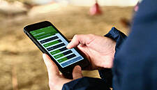 Waitrose Introduces App To Monitor Farm Animal Happiness