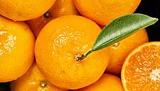 Orri Estimates A Production Rate Of 60,000 Tonnes In 2020/21 Season