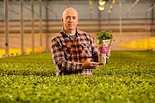 SuperValu Introduces Eco-Friendly Herb Packaging