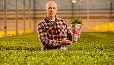 SuperValu Introduces Eco-Friendly Herb Packaging