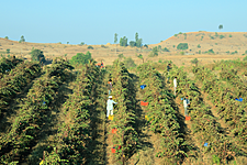 Waitrose Launches First Premium Indian Wine In The UK