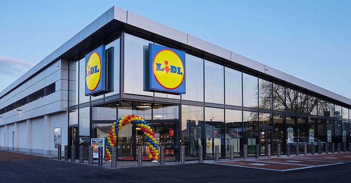 Lidl-Owner Schwarz Group Gains EU Approval To Buy Suez's Recycling ...