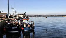 Buyer's Brief – So Long, And Thanks For All The Fish