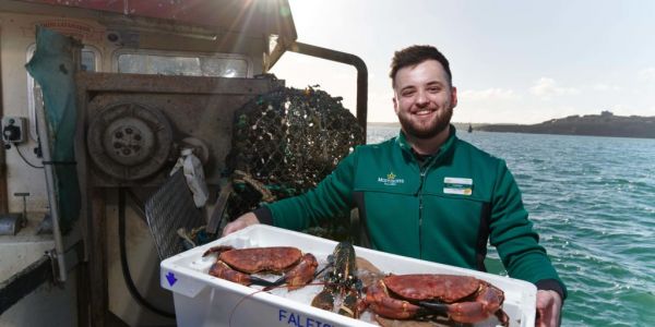 Morrisons Acquires Cornwall-Based Seafood Wholesaler Falfish
