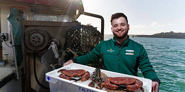 Morrisons Acquires Cornwall-Based Seafood Wholesaler Falfish