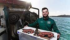 Morrisons Acquires Cornwall-Based Seafood Wholesaler Falfish