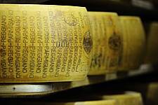 Parmigiano Reggiano Sets New Production Record