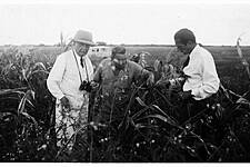 Westfalia Fruit Group Celebrates Founder's 150th Birthday