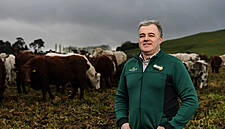 Morrisons Pledges Net-Zero Carbon Emissons On Farms By 2030