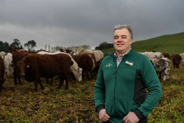 Morrisons Pledges Net-Zero Carbon Emissons On Farms By 2030